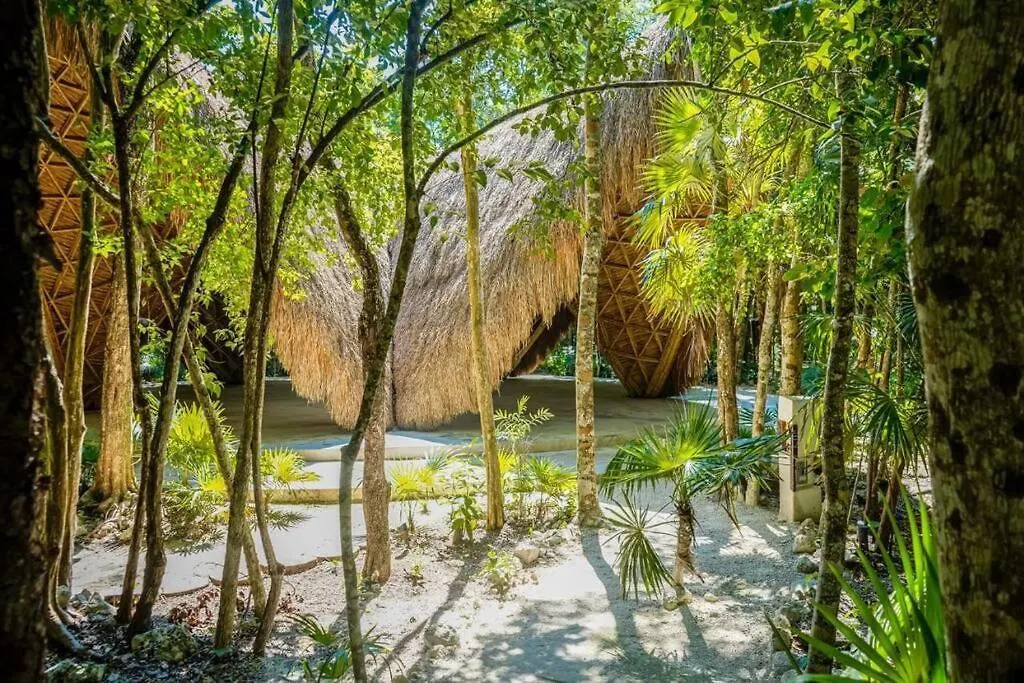 Jungle Lounge Barefoot Luxury 3Br Two Level Penthouse With Pool In Luum Zama Apartment Tulum Mexico