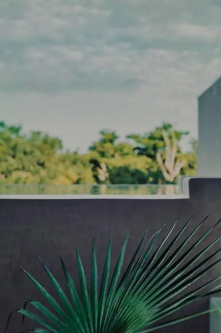 Jungle Lounge Barefoot Luxury 3Br Two Level Penthouse With Pool In Luum Zama Apartment Tulum Mexico